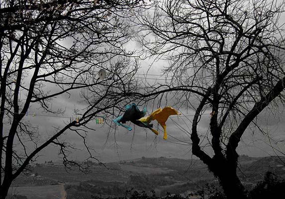 Fly Over...