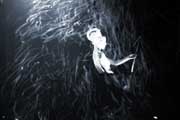 VERTICAL, La Divina Commedia,  , -,