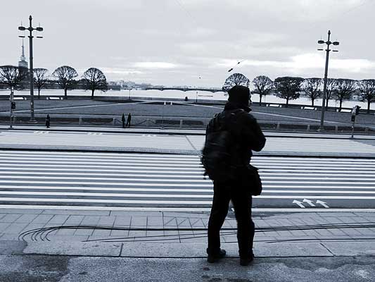 Life zebra. White lines, black lines...